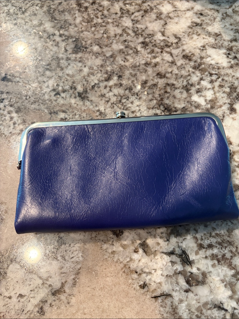 HOBO Deep Blue Framed Card Wallet